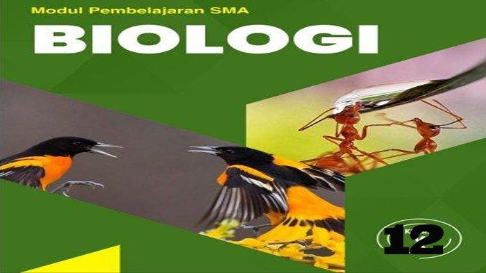Rahasia Nilai Sempurna 7 Bank Soal Biologi Kelas 12 Semester 1 Wajib Pelajari Sekarang